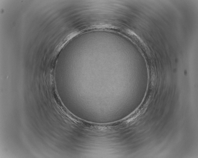X0000062861361200602031641