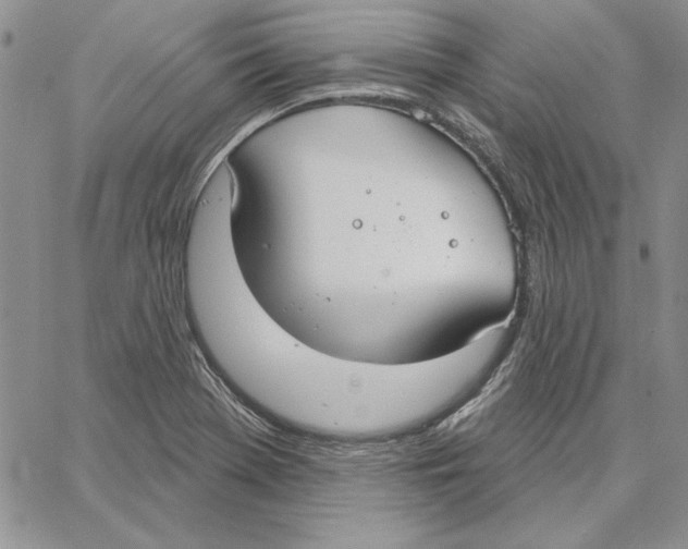X0000062861369200602031641