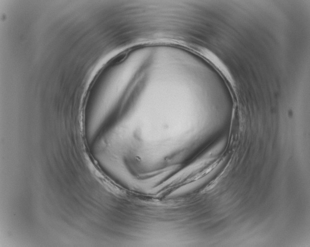 X0000062861388200602031641