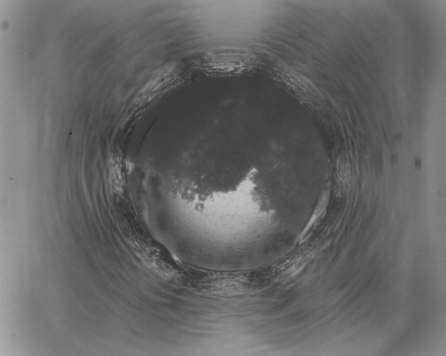 X0000062861394200602031640
