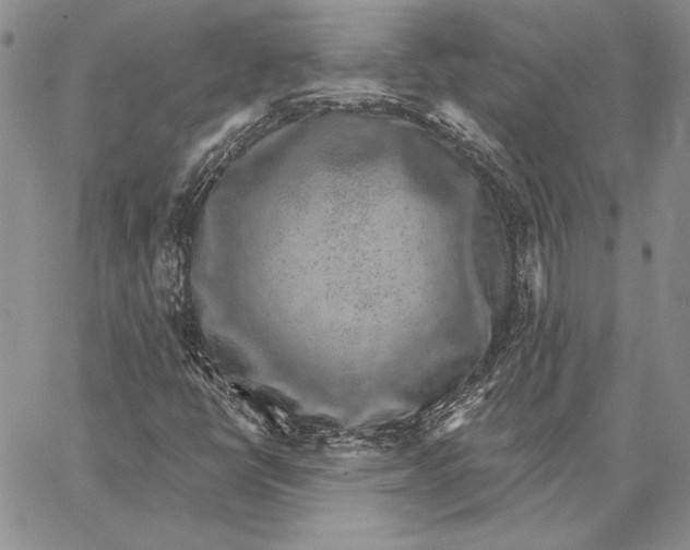 X0000062861398200602031640