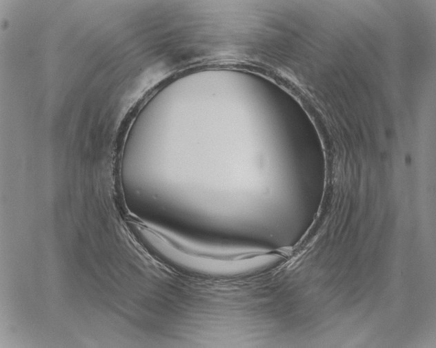 X0000062861410200602031640