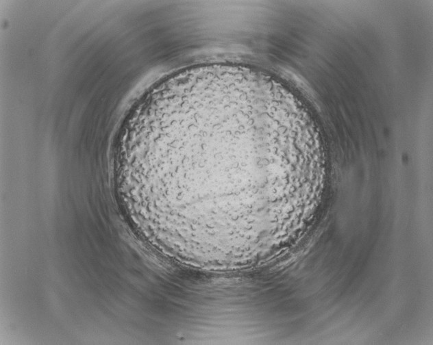 X0000062861419200602031640