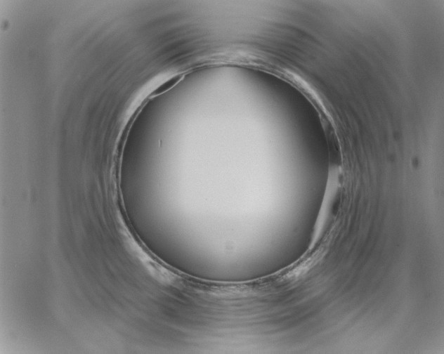 X0000062861434200602031641