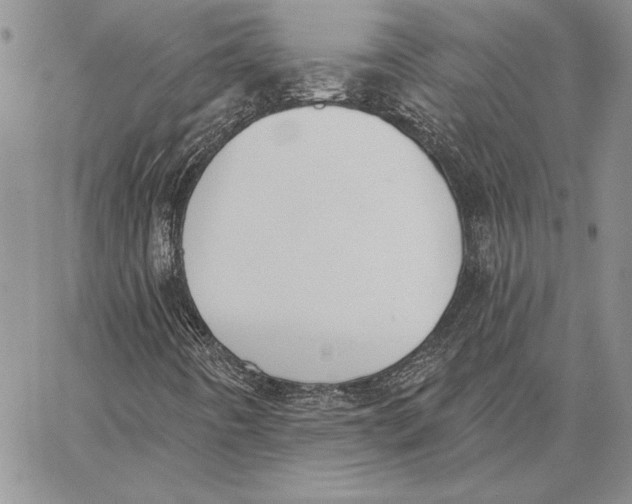 X0000062861442200602031640