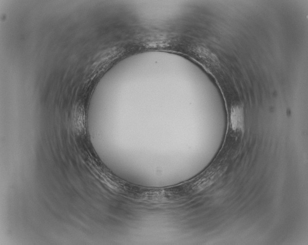 X0000062861444200602031640