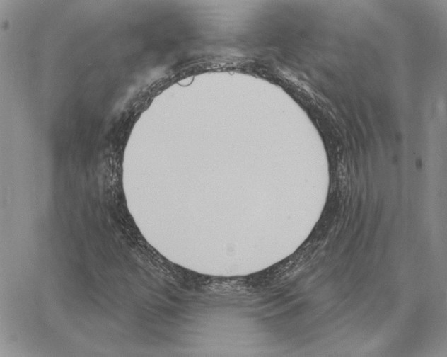 X0000062861447200602031640