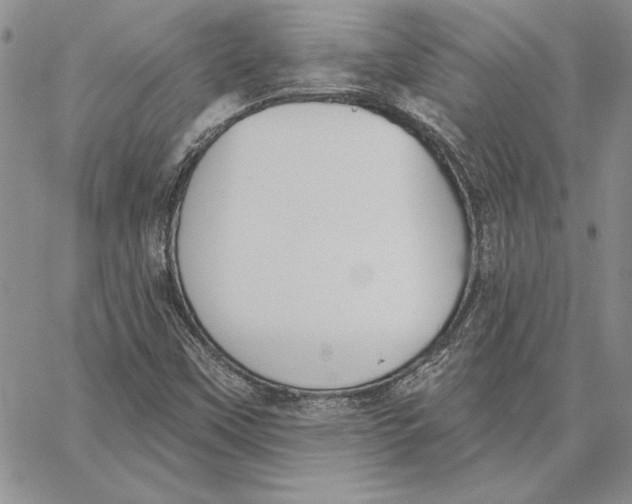 X0000062861451200602031640