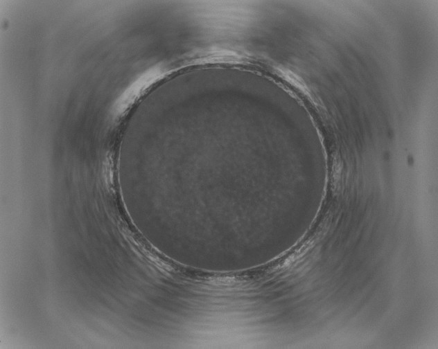 X0000062861455200602031640