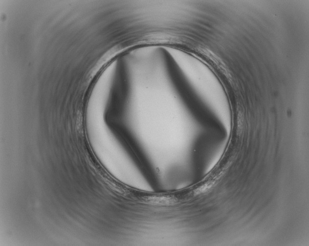 X0000062861465200602031639