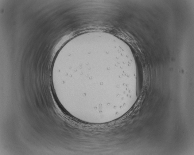 X0000062860003200602101638