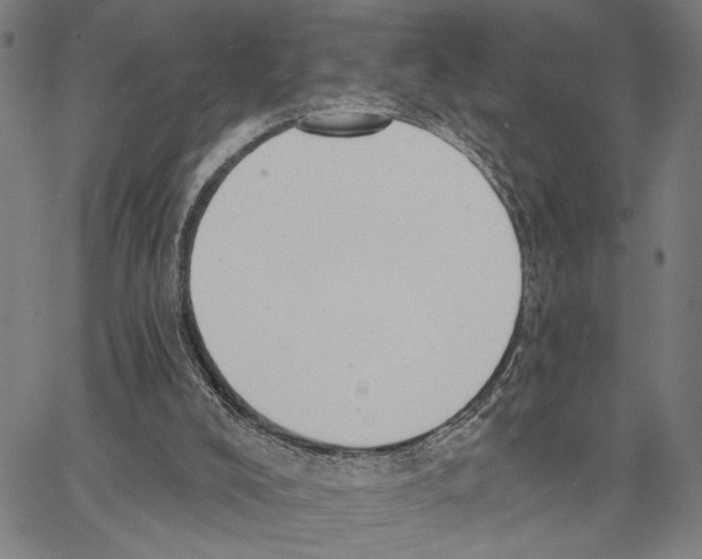 X0000062860008200602101638
