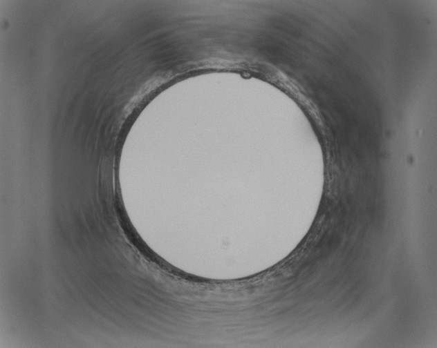 X0000062860011200602101638