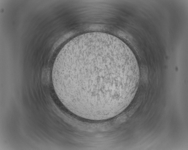 X0000062860016200602101638