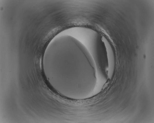 X0000062860019200602101638
