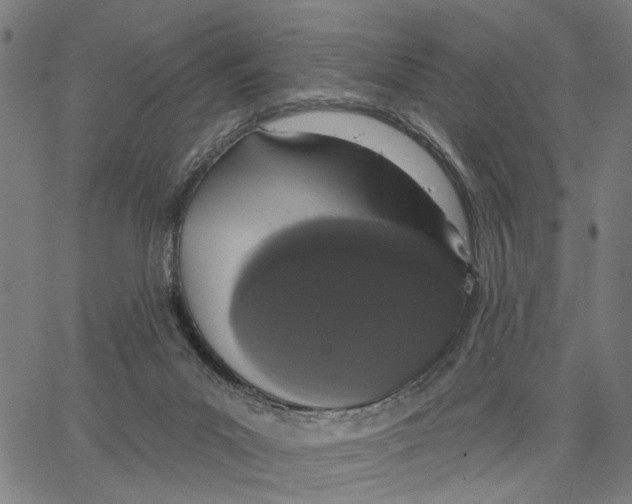 X0000062860023200602101638