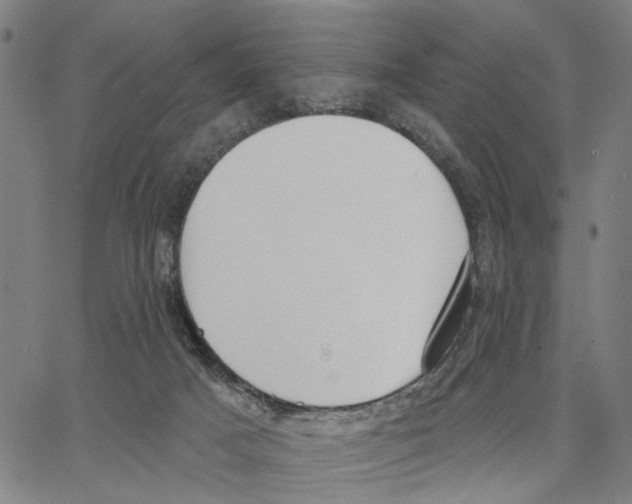 X0000062860025200602101638