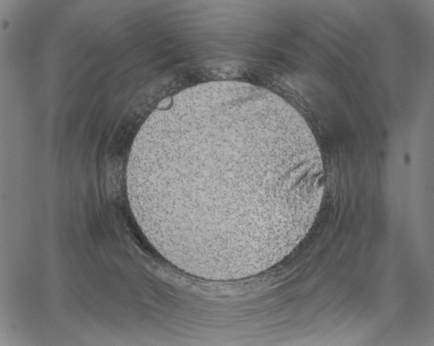 X0000062860030200602101638