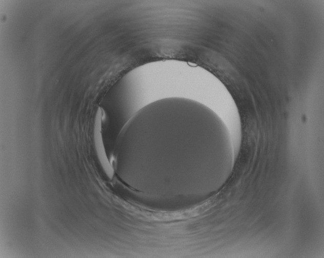 X0000062860031200602101638