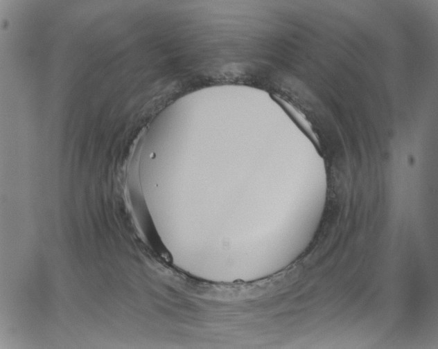 X0000062860037200602101638