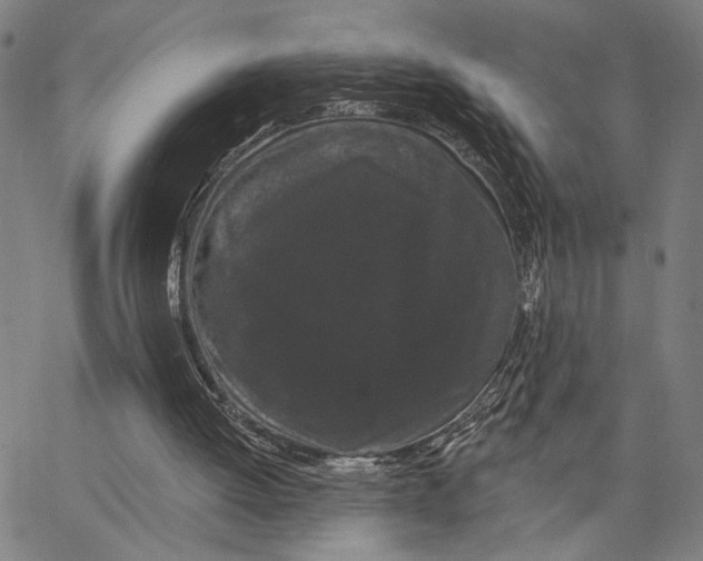 X0000062860052200602101637