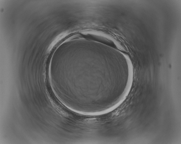 X0000062860054200602101637