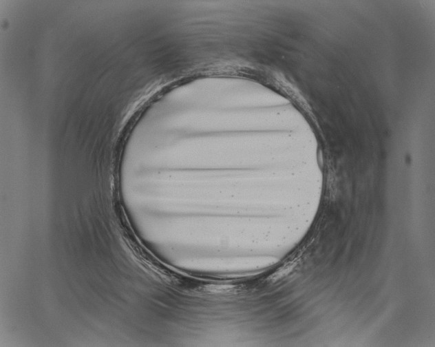 X0000062860059200602101637