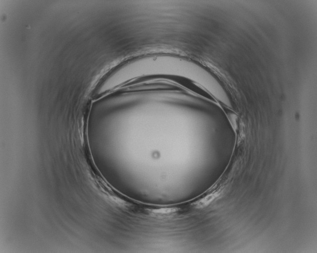 X0000062860064200602101637