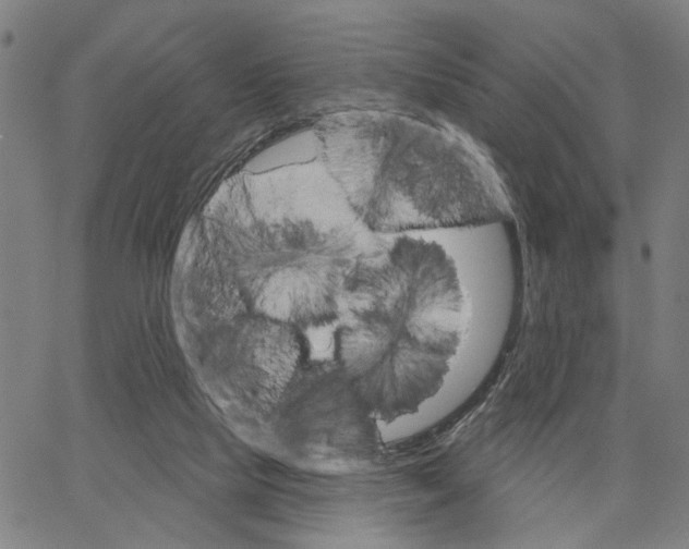 X0000062860065200602101637