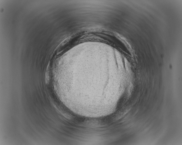X0000062860069200602101637
