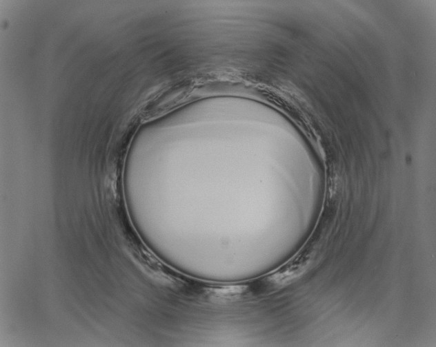 X0000062860072200602101637