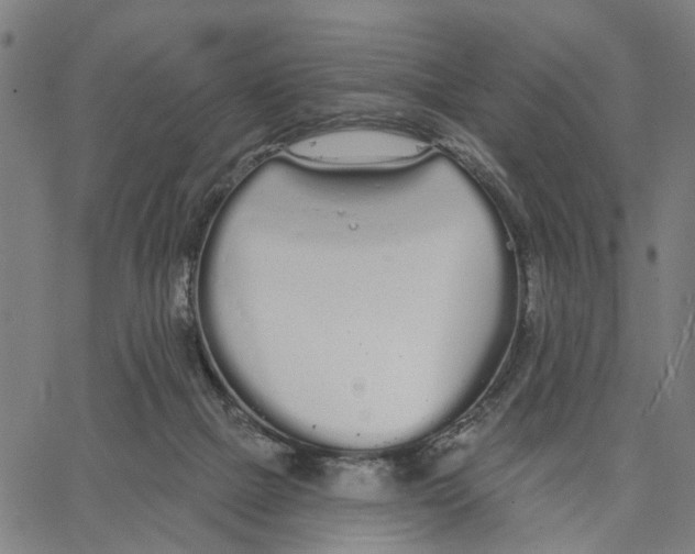 X0000062860073200602101637