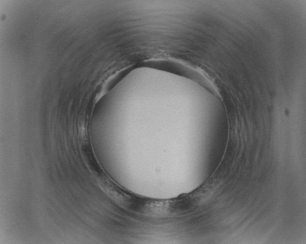 X0000062860084200602101637
