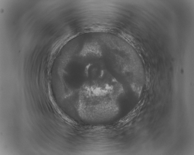 X0000062860097200602101637