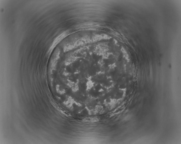 X0000062860099200602101637