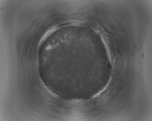 X0000062860101200602101637
