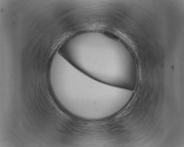 X0000062860105200602101636