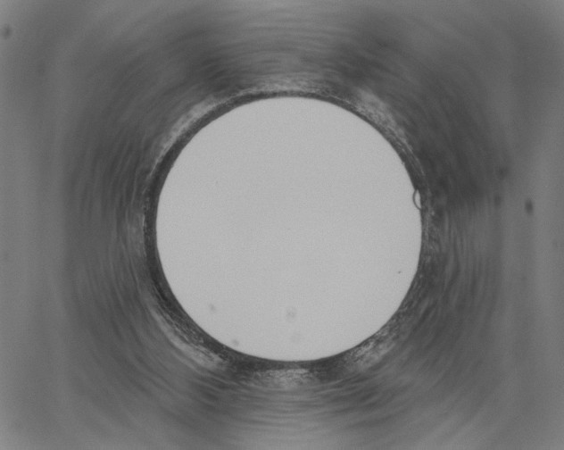 X0000062860108200602101636