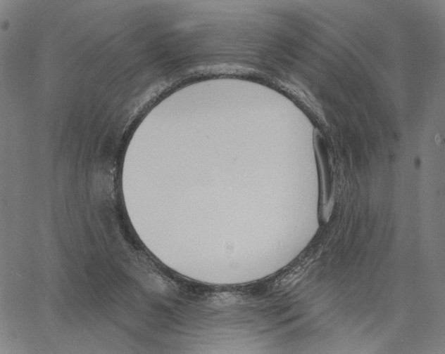 X0000062860111200602101636