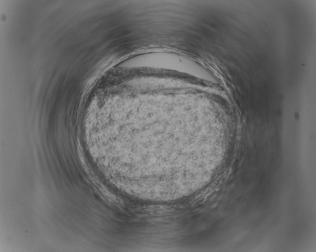 X0000062860145200602101635