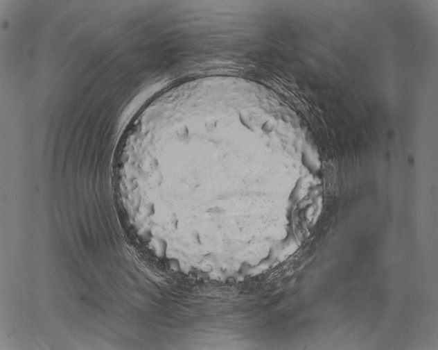 X0000062860147200602101635