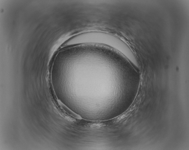 X0000062860152200602101635