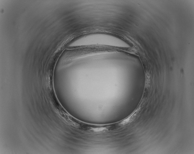 X0000062860158200602101635
