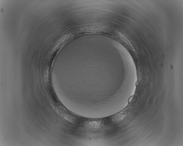 X0000062860163200602101635