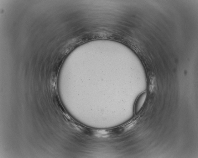 X0000062860177200602101636