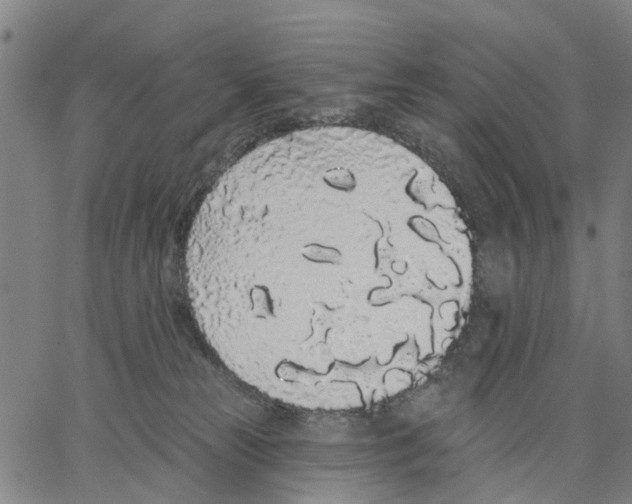 X0000062860181200602101636