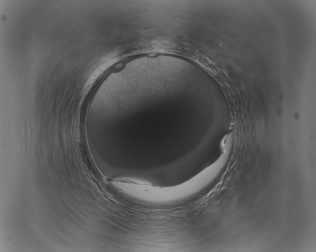 X0000062860200200602101635