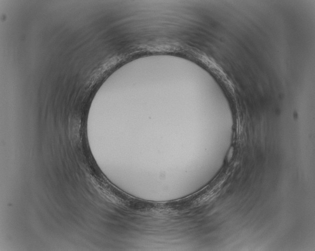 X0000062860201200602101635