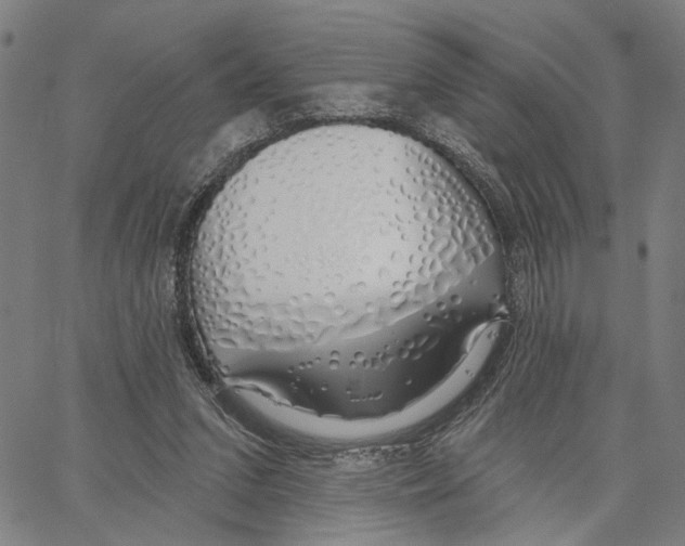 X0000062860207200602101635