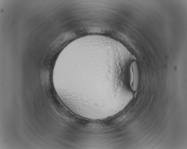 X0000062860211200602101635